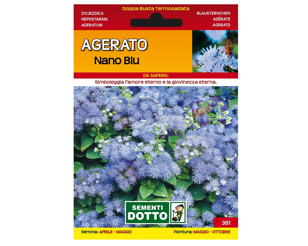 Agerato nano blu - FloralGarden | Superofferte