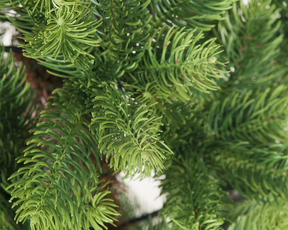 Albero Artificiale Nevada D132x210h PVC - immagine 2