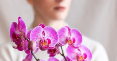Tipi Di Orchidea