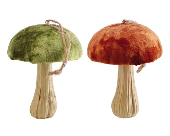 Decorazione da Appendere Fungo Assortito D8,5×11,5cm in Resina