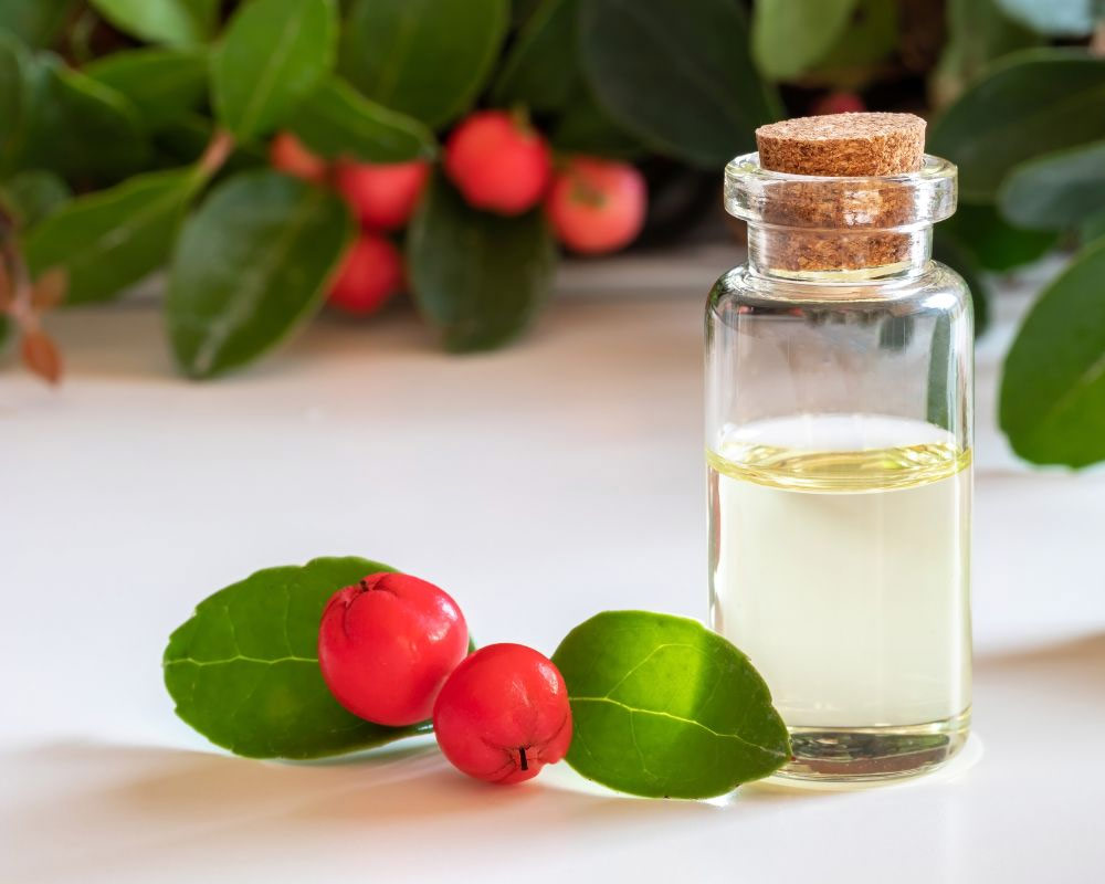 Gaultheria big berry - immagine 3