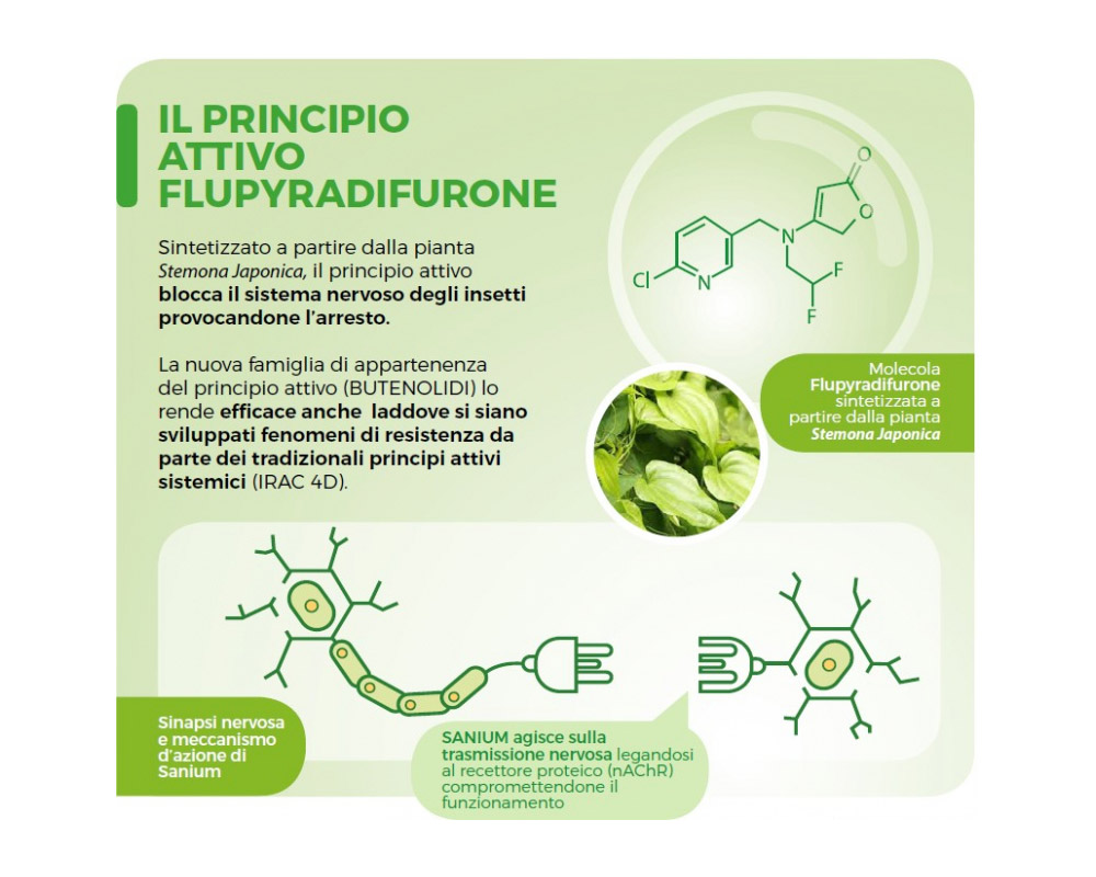 Insetticida in Pastiglie per Terreno e Piante su Vaso Sanium - immagine 3