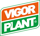 vigorplant logo small