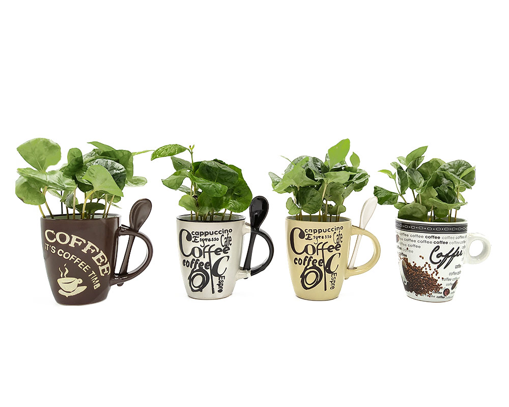 Coffea arabica decopot coffee-cup h18 - immagine 4