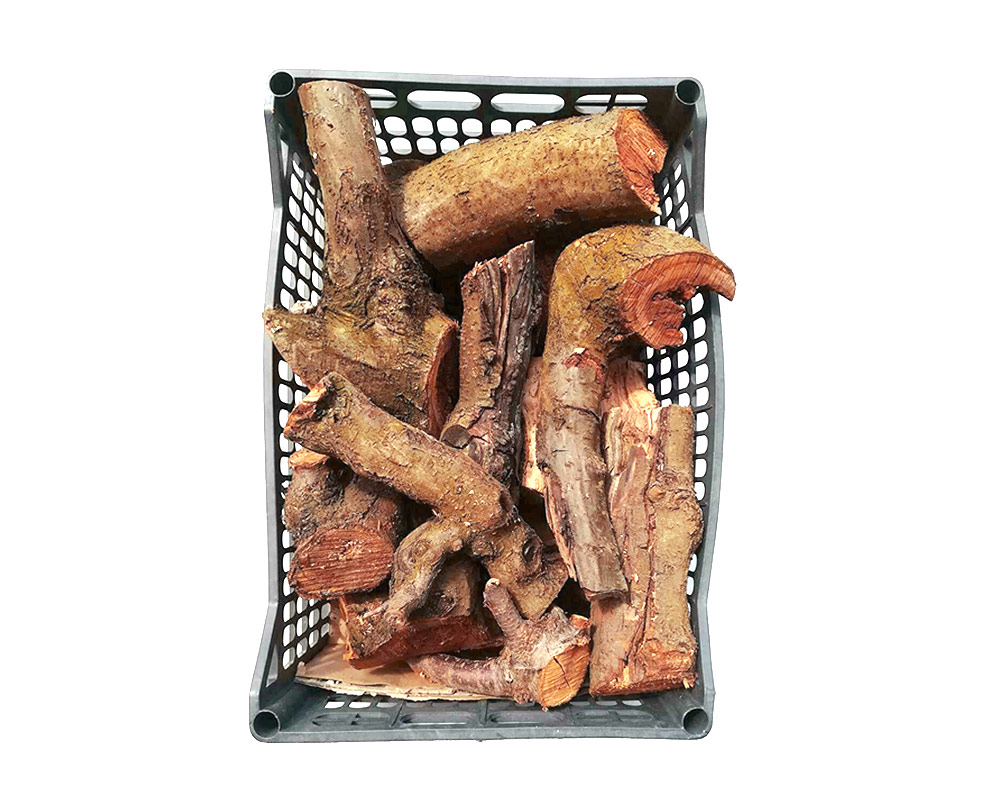 Ceppi di legno di quercia per camino