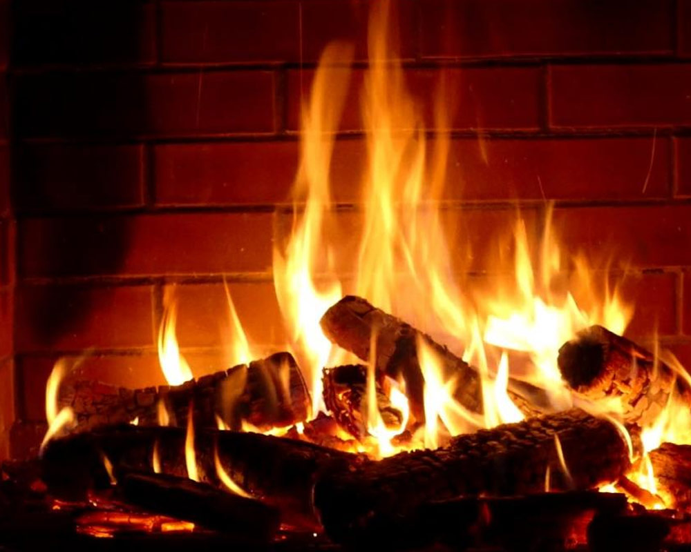 Ceppi di legno di quercia per camino - immagine 2