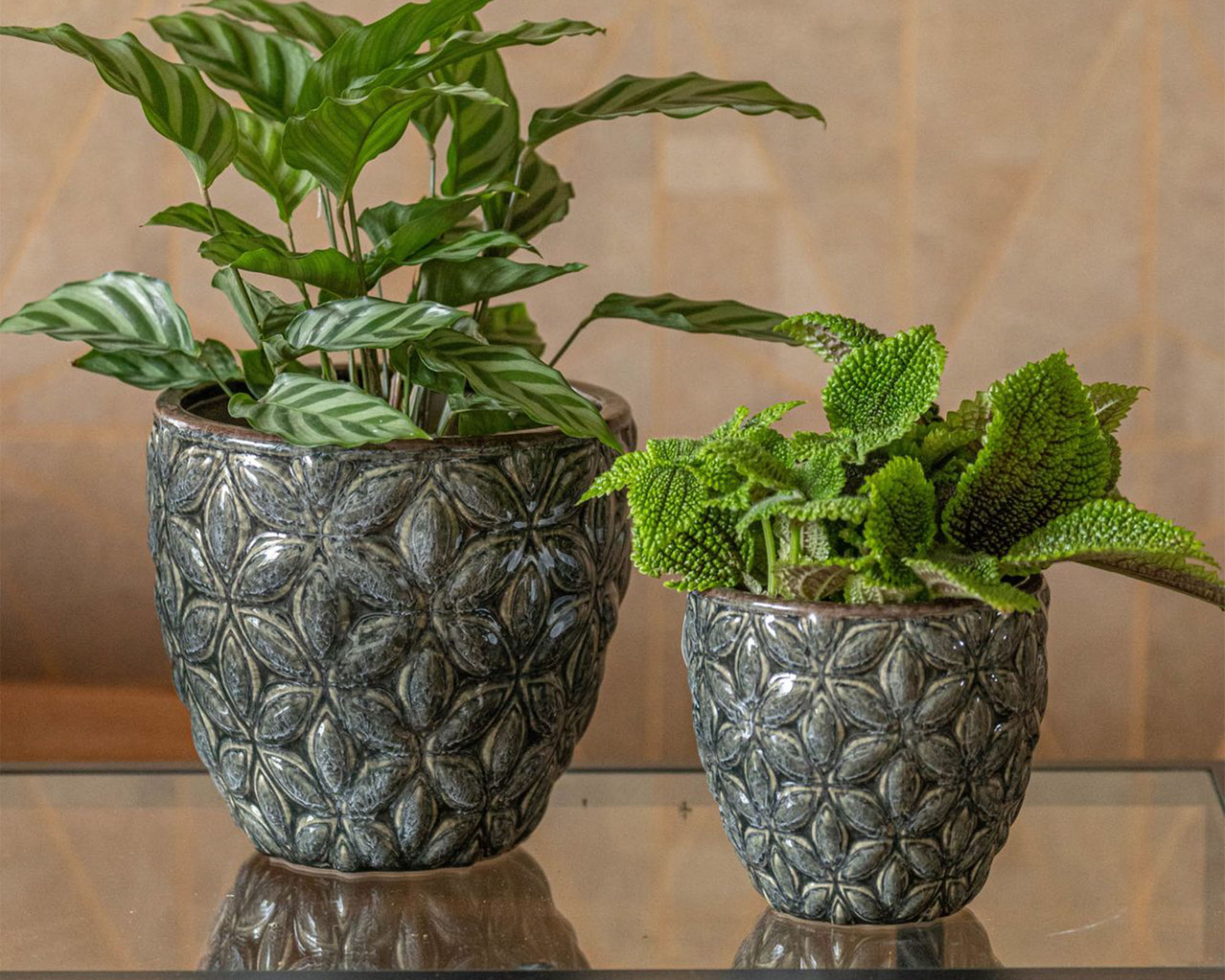 Cachepot Elegante Smaltato Vida Ceramica Nero D18x17cm in Ceramica - Mega Collections - immagine 3