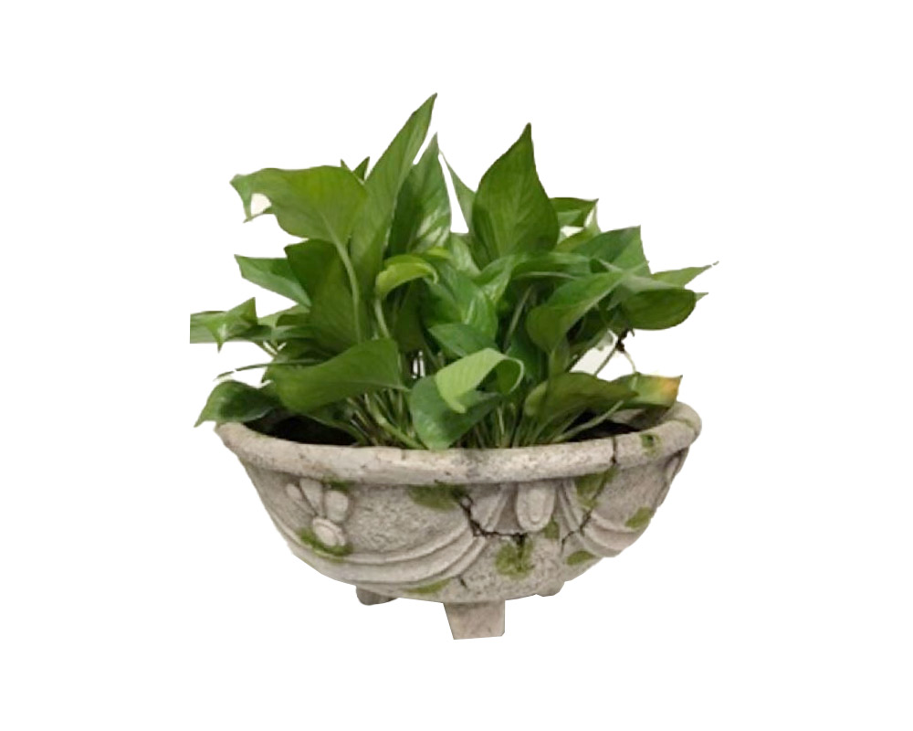 Ciotola Festoni Effetto in Pietra