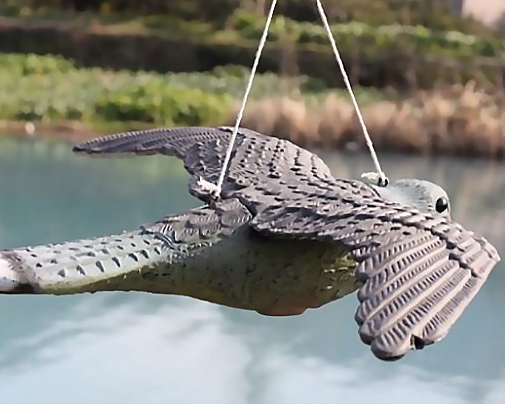 Falco Ali Aperte Spaventapasseri in Plastica - immagine 2