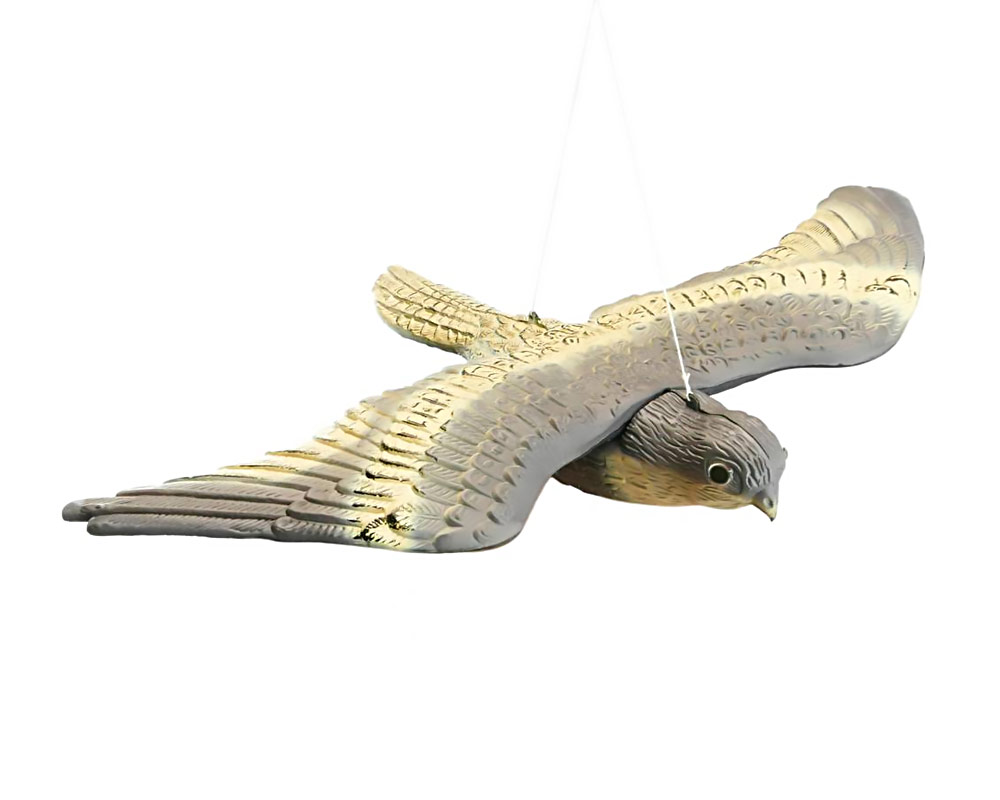 Falco Ali Aperte Spaventapasseri in Plastica