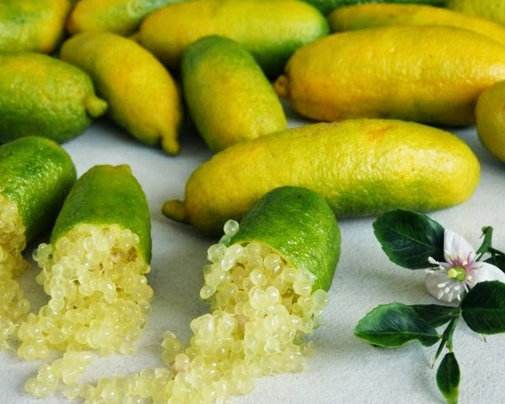 Caviale limone fingerlime giallo - immagine 2