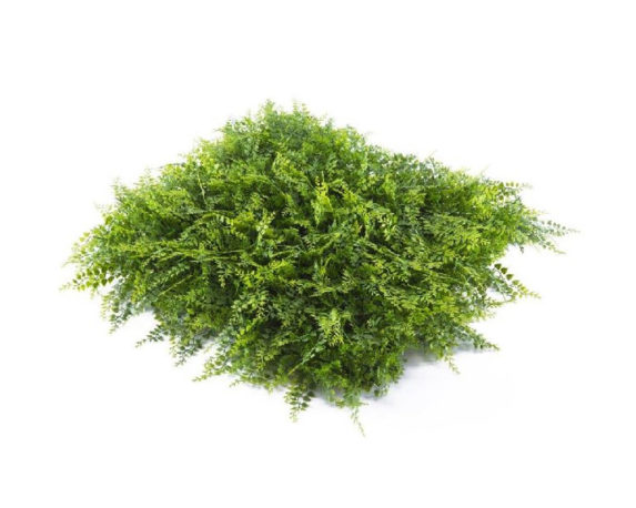 Mattonella ornamentale sintetica mix felce 50×50 cm