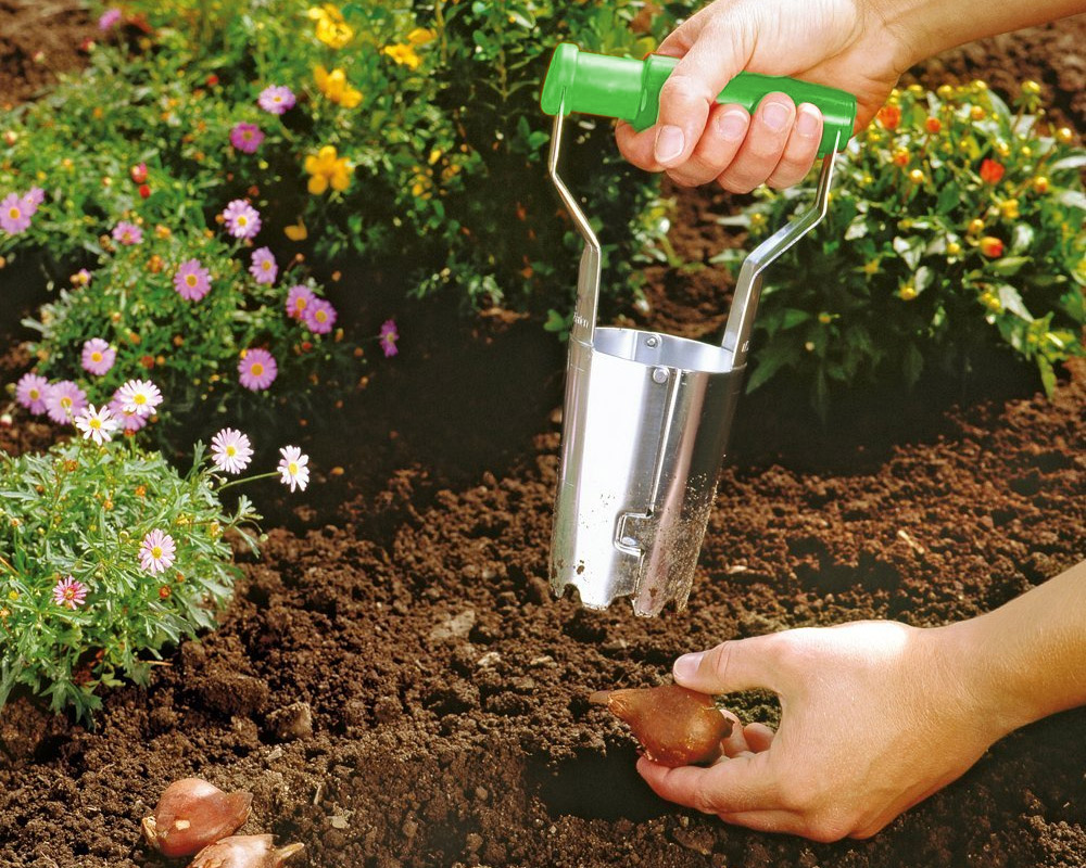 Pianta bulbi verde in zinco - immagine 2