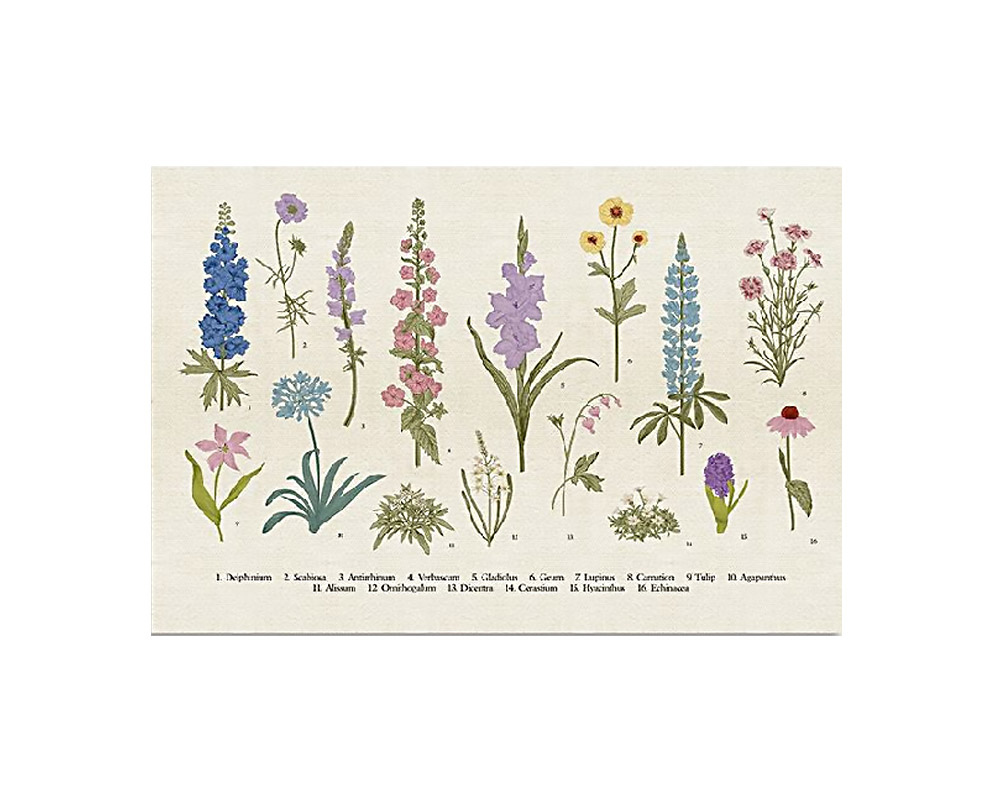 Quadro Botanica Assortiti in Legno