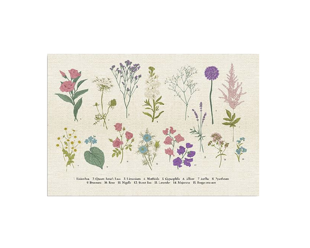 Quadro Botanica Assortiti in Legno - immagine 2