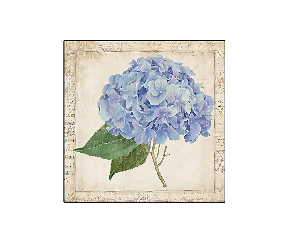 Quadro Hydrangea Assortiti in Legno - immagine 2