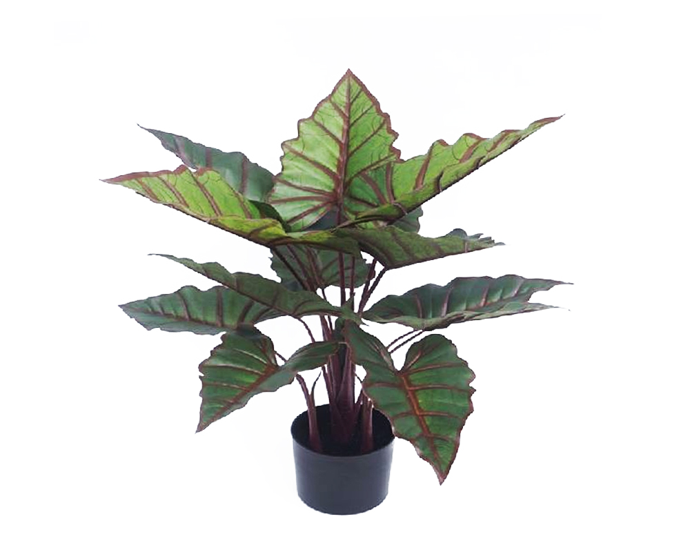 Alocasia artificiale in vaso h73