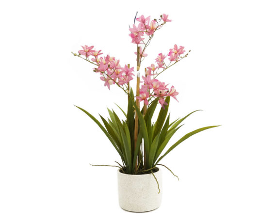 Orchidea Cymbidium Beauty Artificiale In Vaso H58
