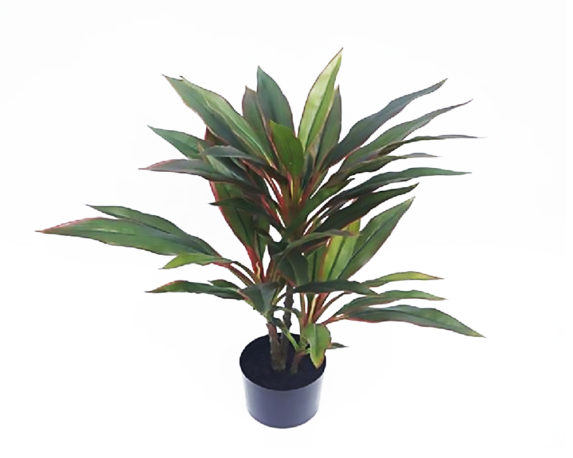 Dracaena artificiale in vaso h60