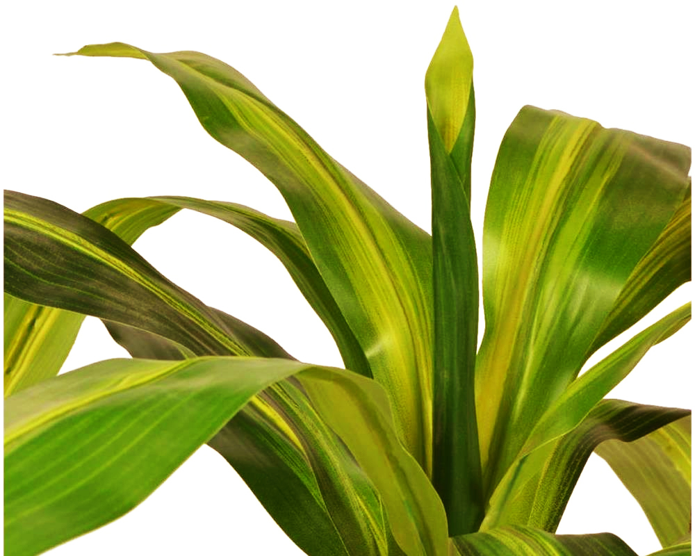 Dracaena artificiale in vaso h60 - immagine 2