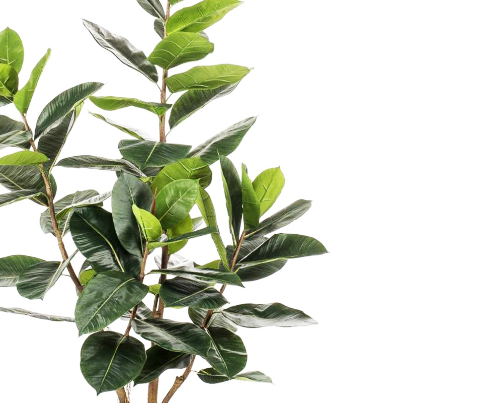 Ficus elastica artificiale in vaso h120 - immagine 2