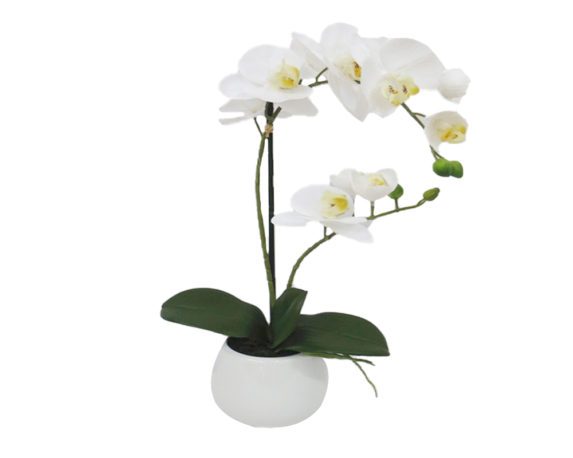 Orchidea Phalaenopsis Artificiale Bianco In Vaso H48