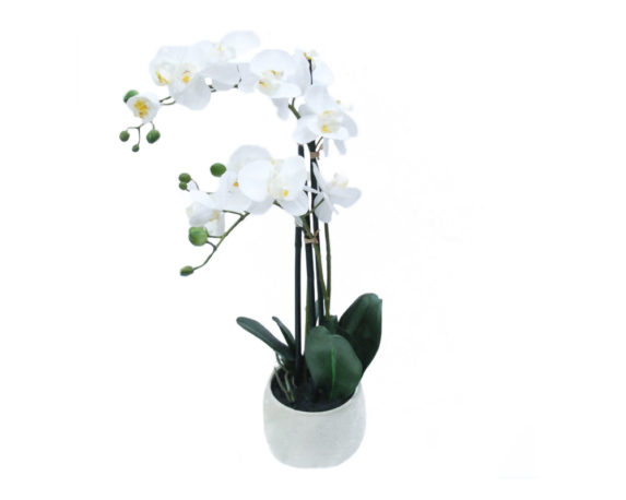 Orchidea phalaenopsis artificiale bianco in vaso tondo h66