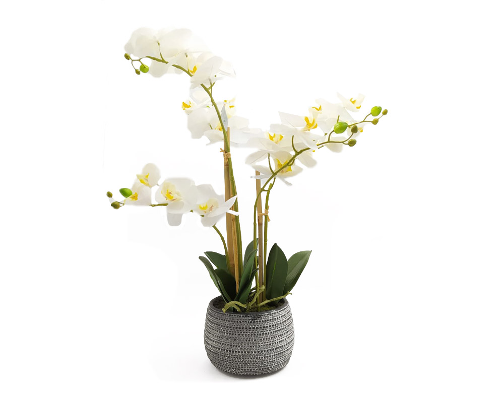 Orchidea Phalaenopsis Bianco e Grigo Artificiale con Vaso 58h in Plastica