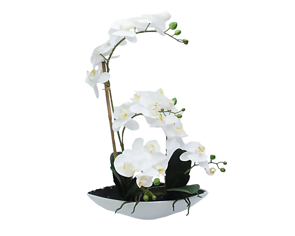 Orchidea Phalaenopsis Bianco Artificiale con Vaso Ovale 38h in Plastica