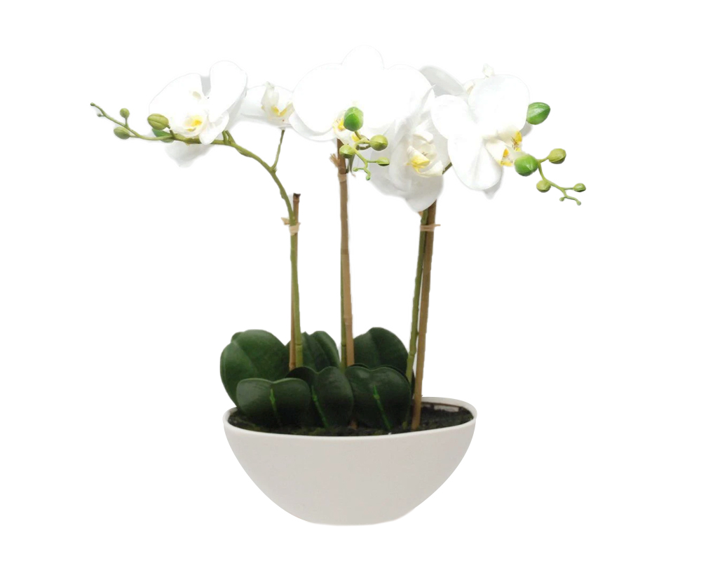 Orchidea phalaenopsis artificiale bianco in vaso ovale h45 - FloralGarden