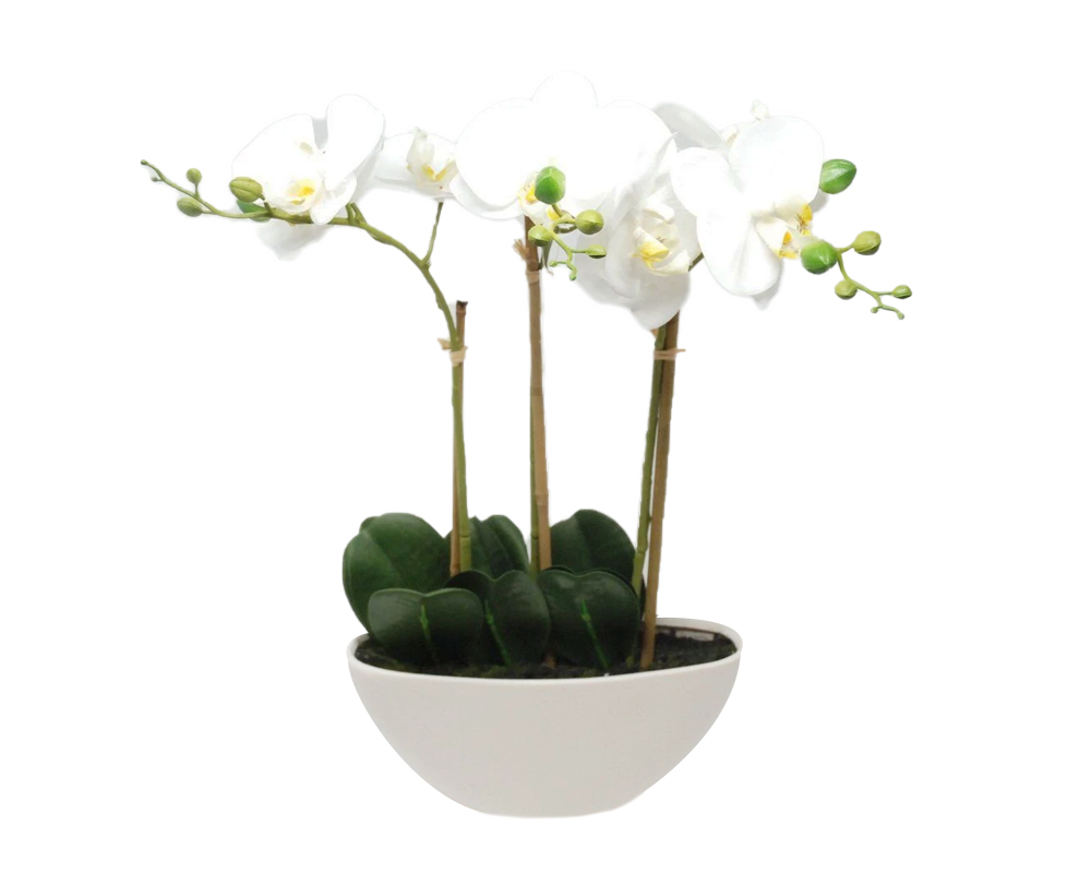 Orchidea Phalaenopsis Bianco Ovale Artificiale con Vaso 45h in Plastica