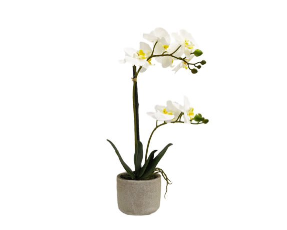 Orchidea Phalaenopsis Artificiale Bianco In Vaso Grigio H44
