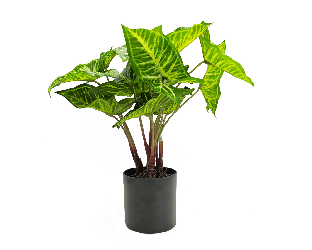 Philodendro Artificiale con Vaso 40h in Plastica