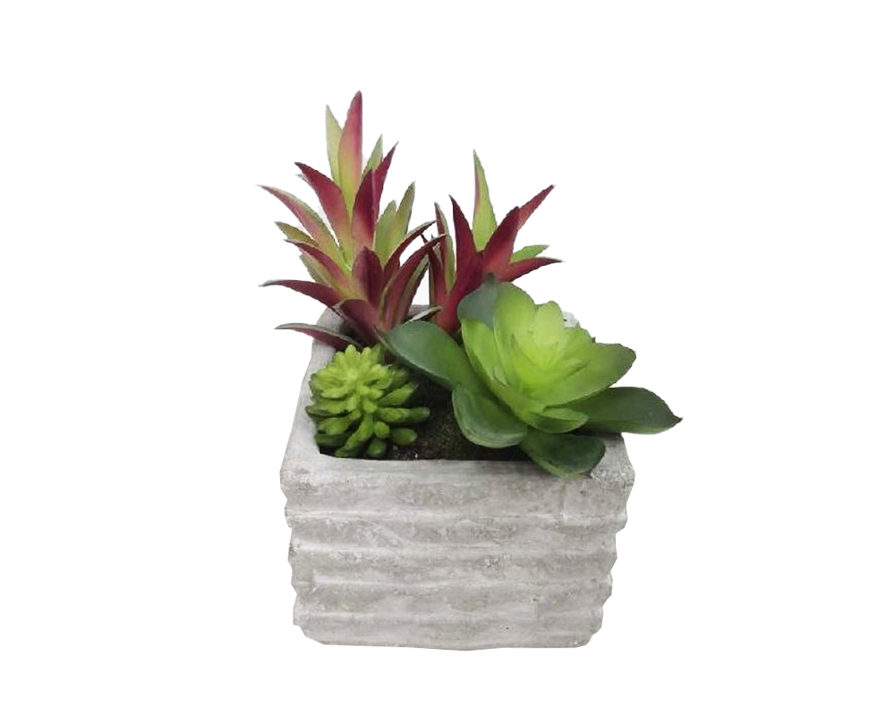 Pianta Grassa Artificiale con Vaso 13h in Plastica e Cemento