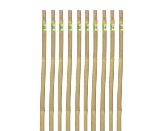 10 Canne Per Supporto Ortaggi In Bamboo H76