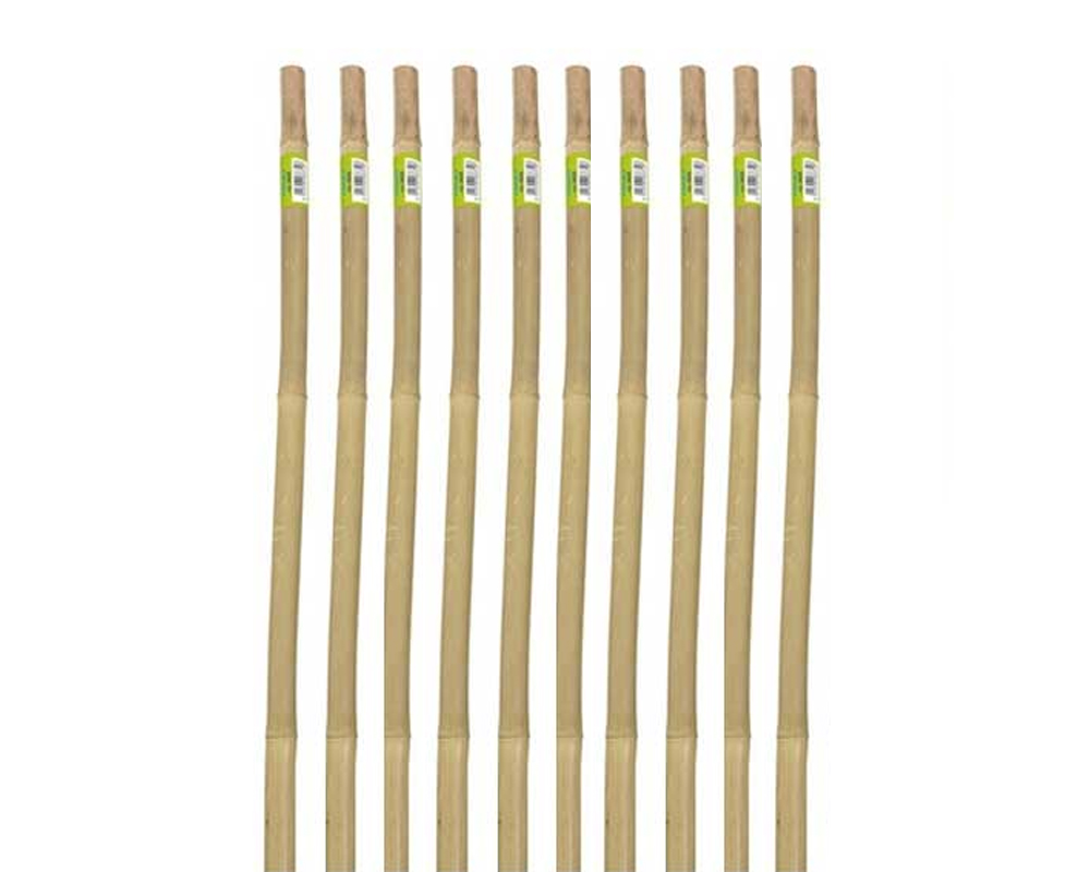 Set 10 Pz Supporti 76h in Bamboo Naturale