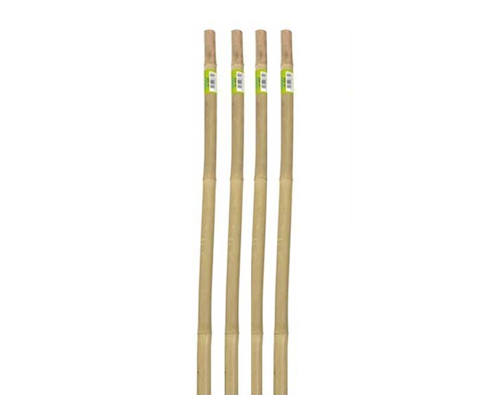 4 Pz Supporti in bamboo naturale