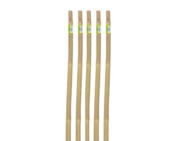 5 Canne Per Supporto Ortaggi In Bamboo H106