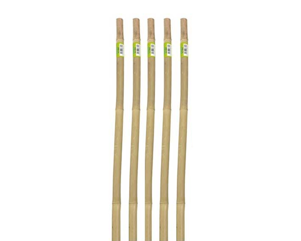 Set 5 Pz Supporti 106h in Bamboo Naturale