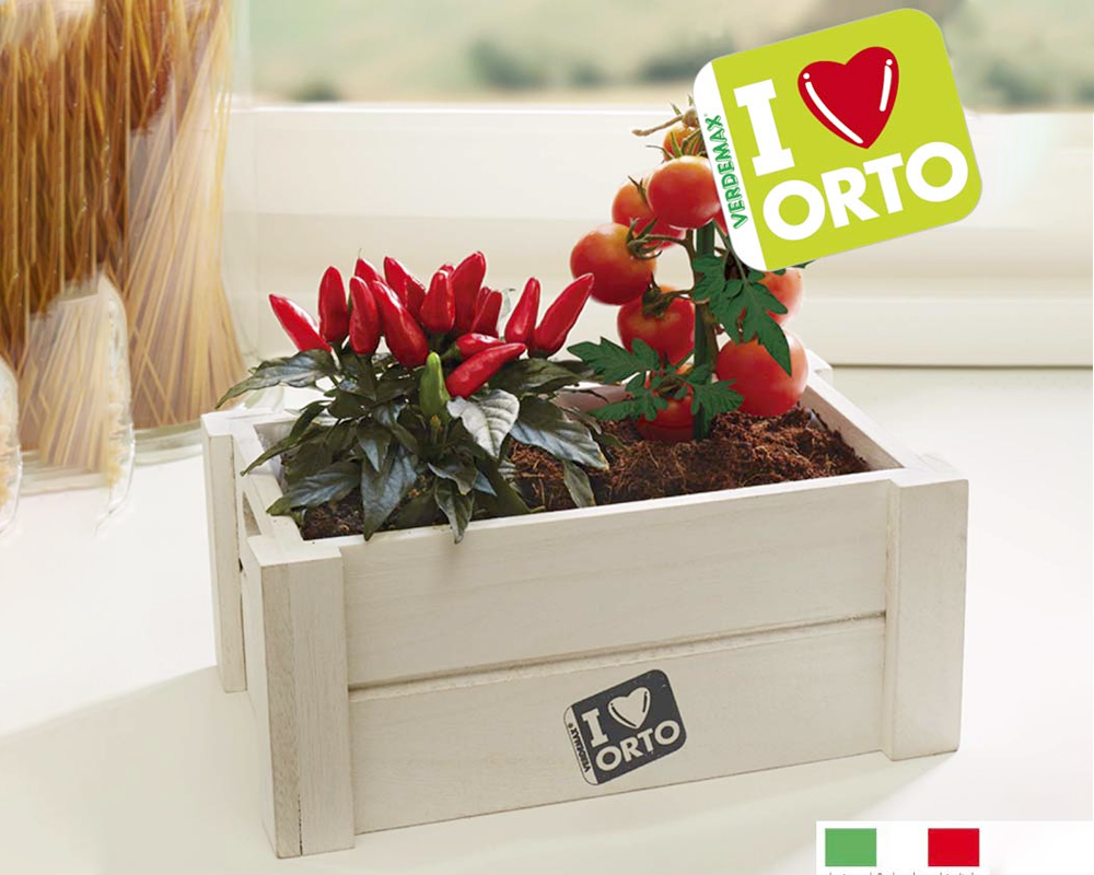 Easyorto Pomodoro e Peperoncino - I❤Orto - immagine 2