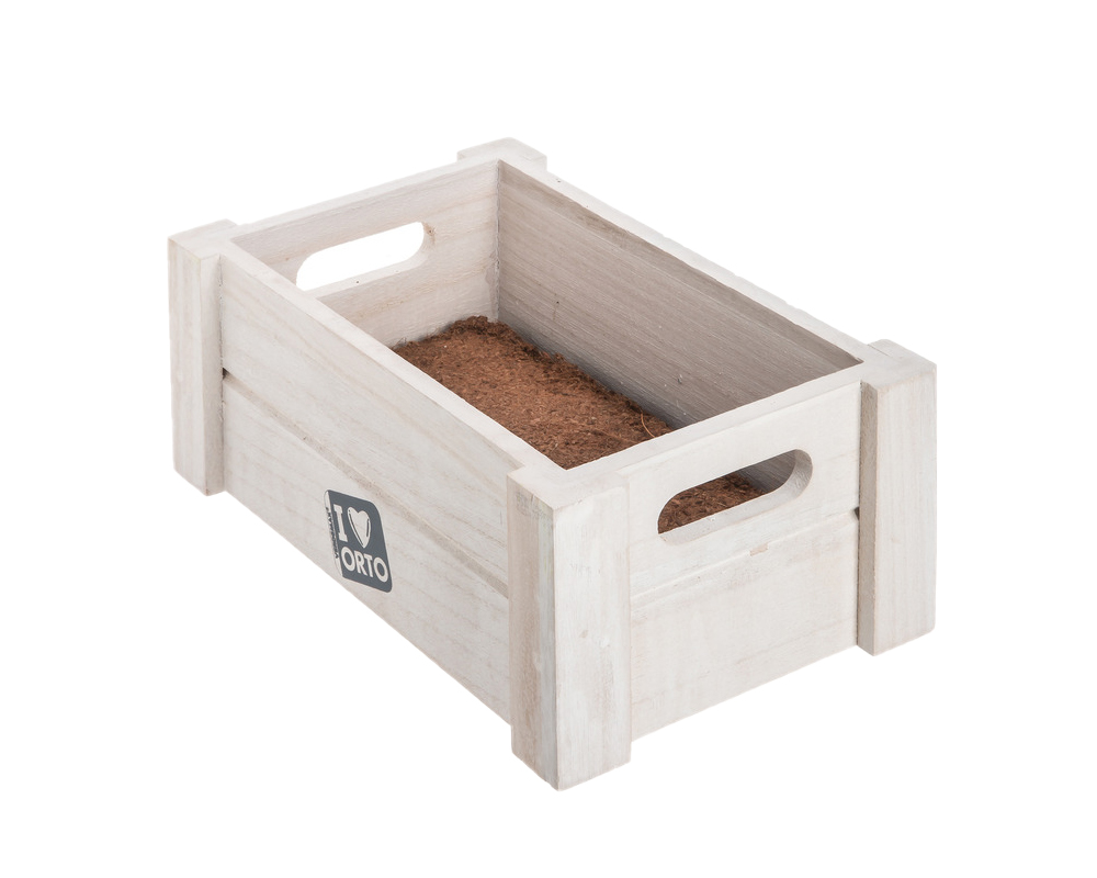 Easyorto Menta e Salvia - I❤Orto - immagine 3