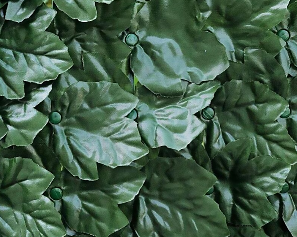 Siepe a Foglie Tipo Edera 150x300cm in Plastica
