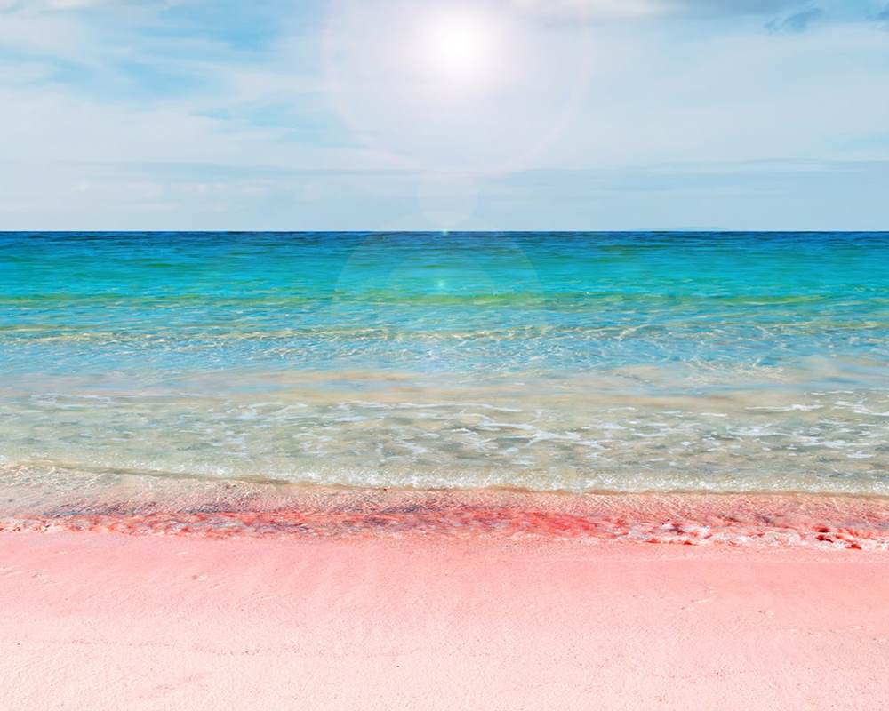 Cera Da Fondo Pink Sands – Yankee Candle - immagine 4