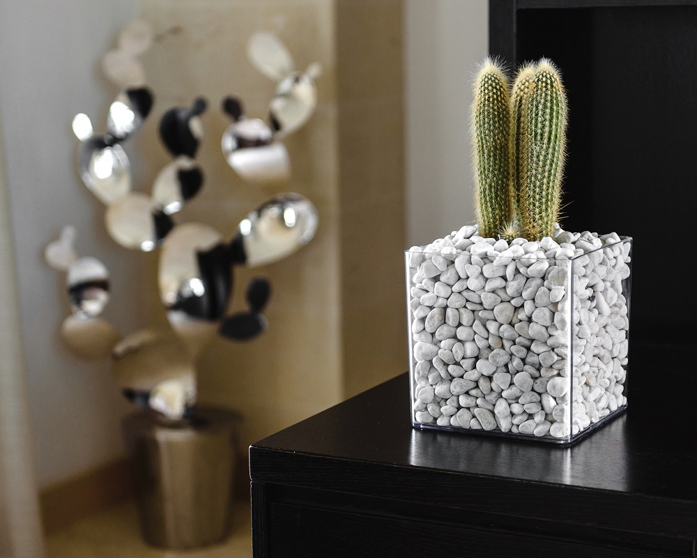 Vaso Kare Quadrato Trasparente 20x20cm in Plastica - immagine 2