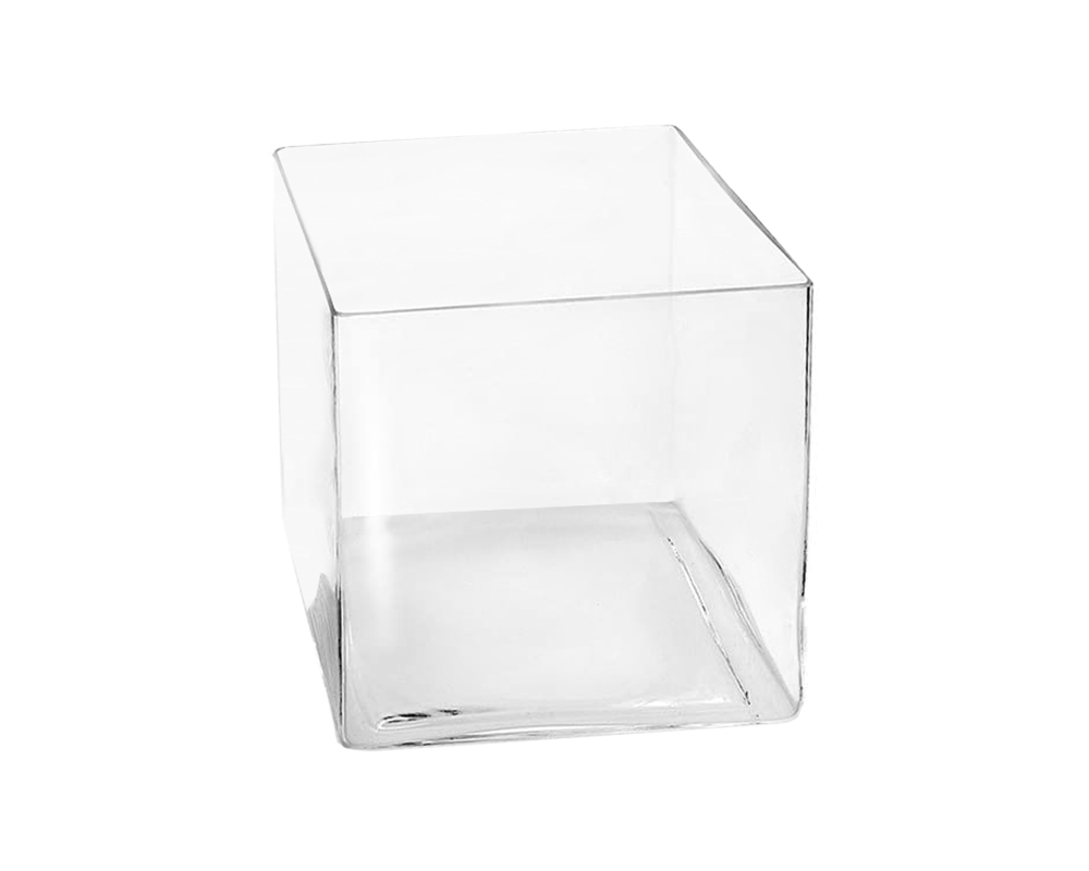 Vaso Kare Quadrato Trasparente 20x20cm in Plastica