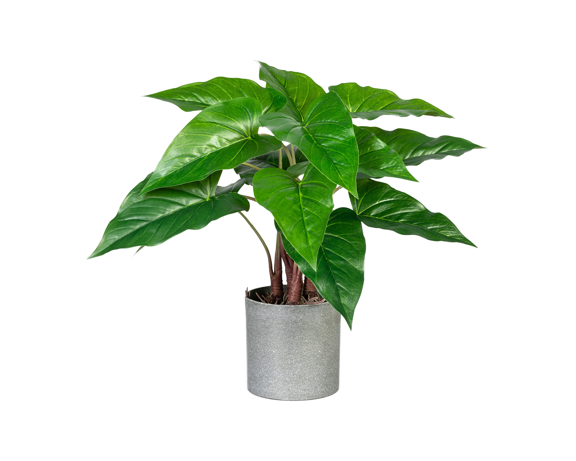 Anthurium Cachepot Melamina Grigio