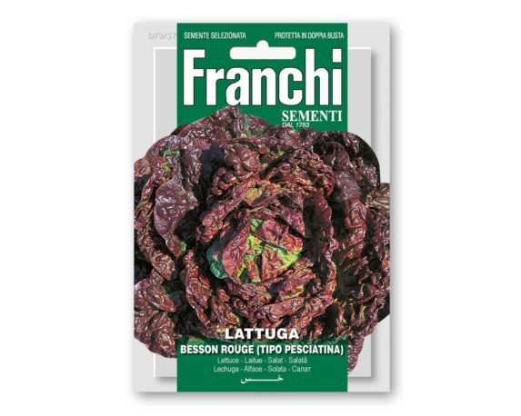 Semi di Lattuga Besson Rouge – Franchi sementi