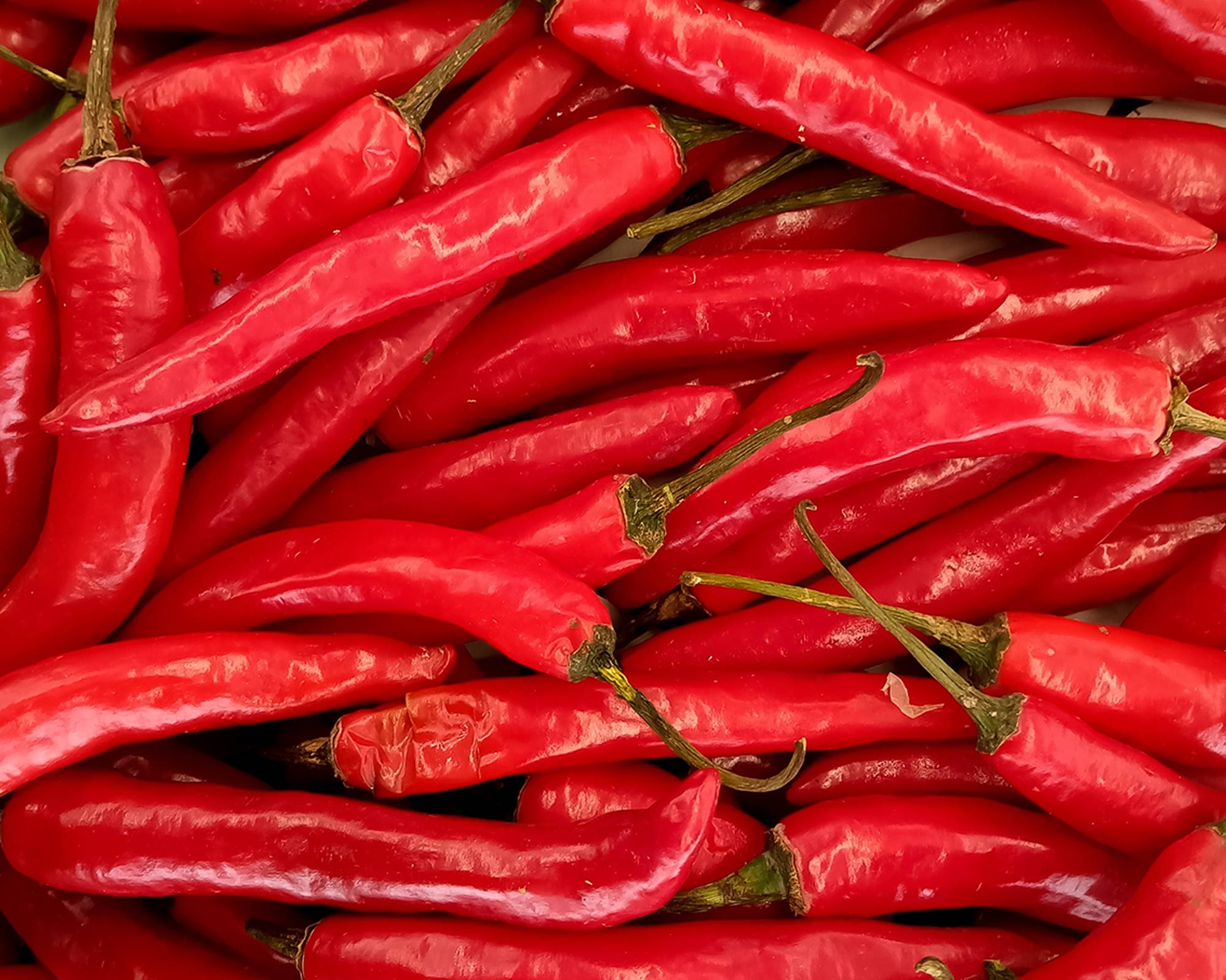 Semi di Peperoncino Piccante Cayenna - Franchi sementi - immagine 3