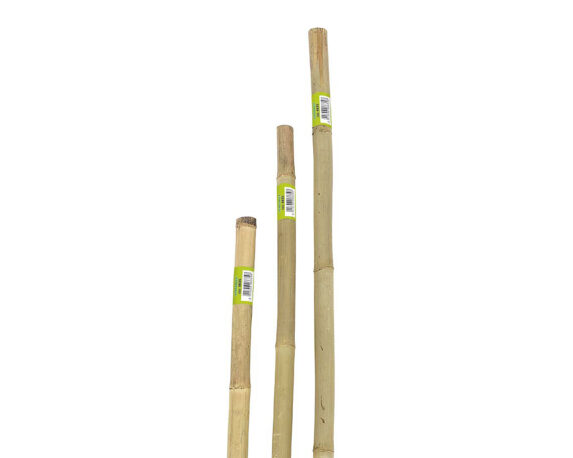 Tutore In Bamboo Dalla Dimensione Grande – VerdeMax