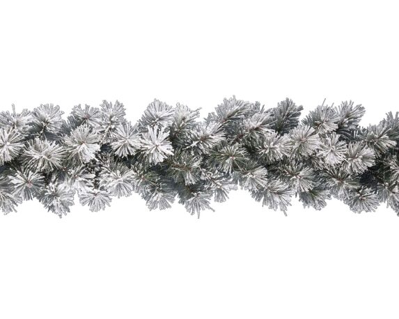 Festone ontario innevato